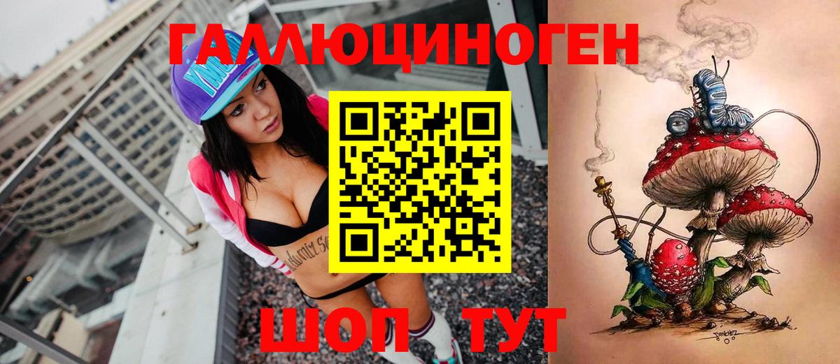 Урус-Мартан  Псилоцибиновые грибы мухоморы  Вход с VPN 