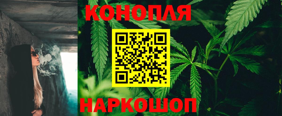 Канабис конопля Урус-Мартан
