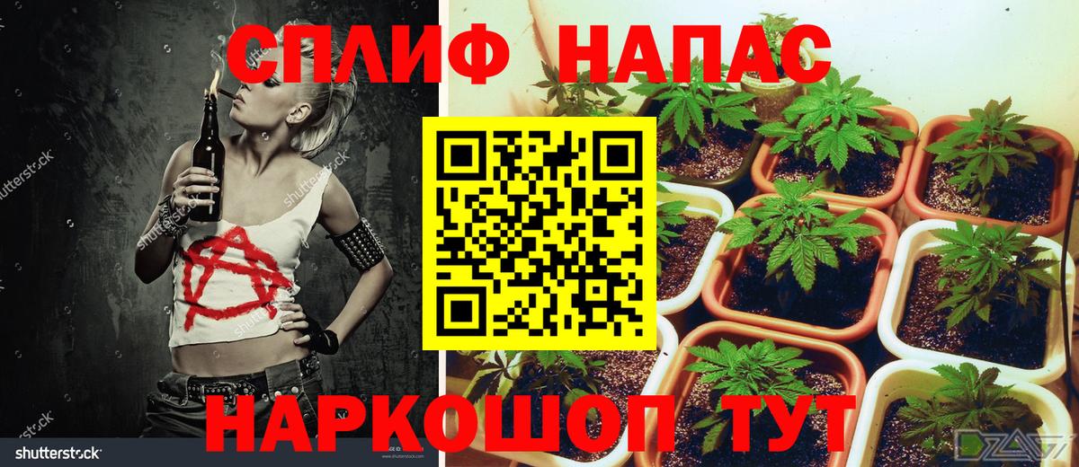 Урус-Мартан  Марихуана Ganja  МАРИХУАНА сатива  Конопля Amnesia  Вход с VPN 
